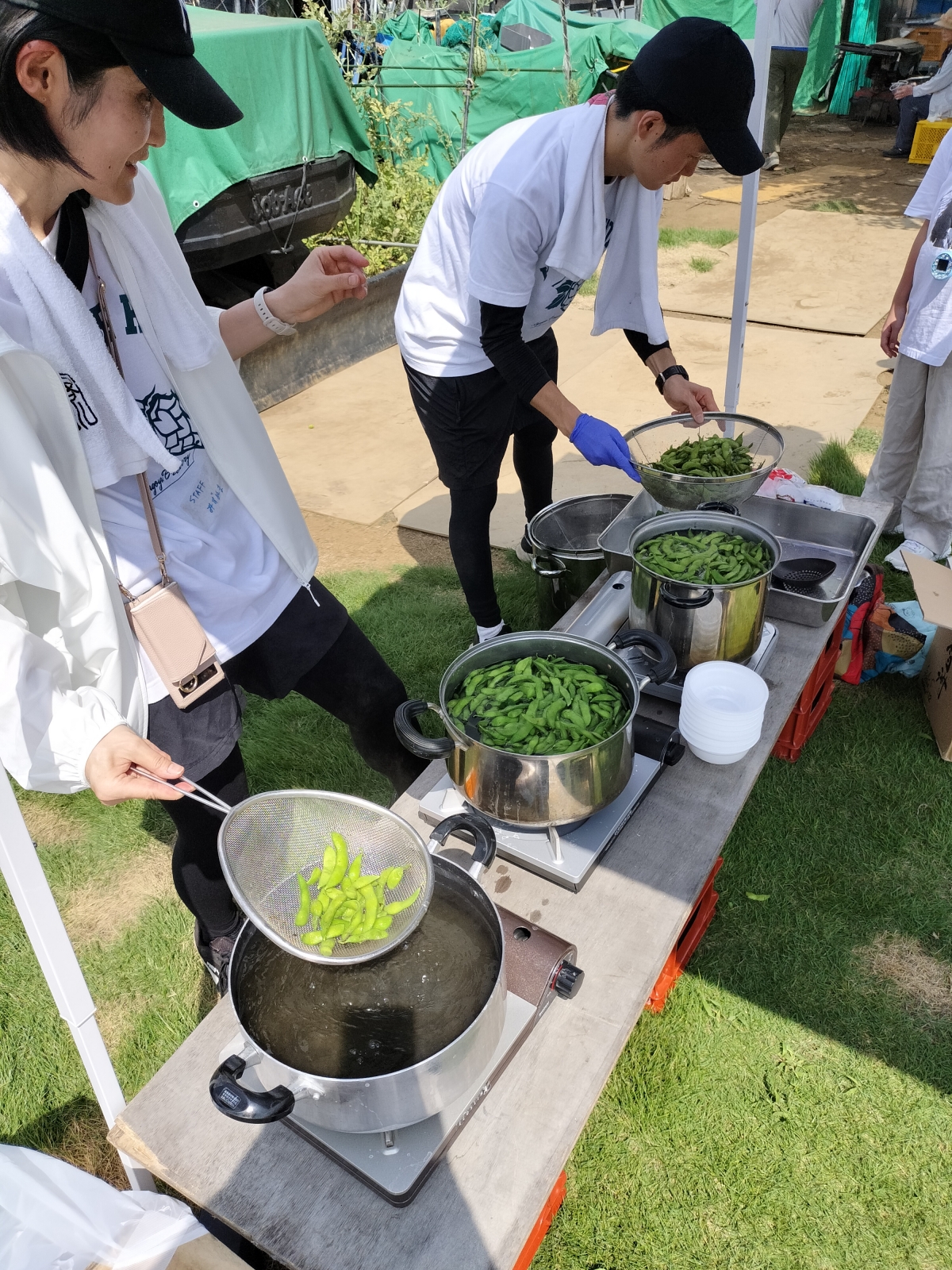 収穫した枝豆をその場で茹でました!