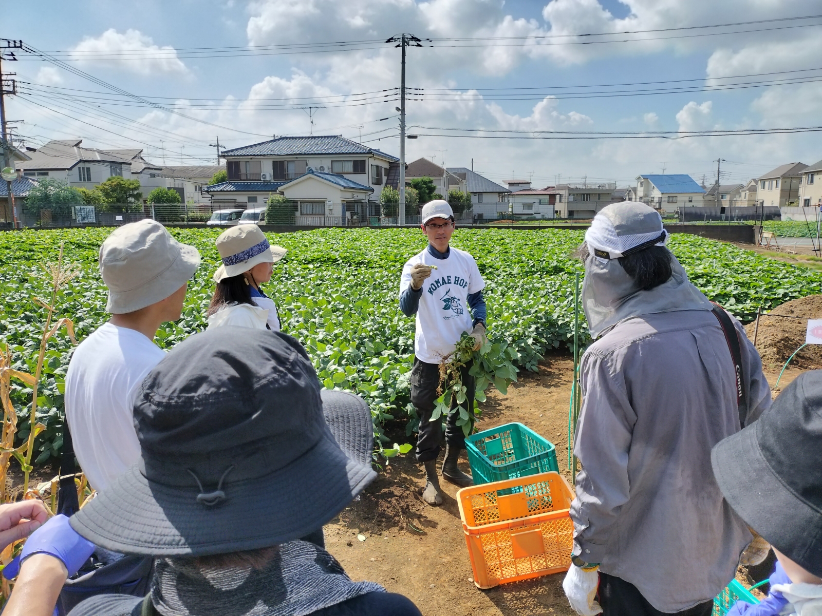 農家の小川さんが枝豆の収穫について教えてくれました！