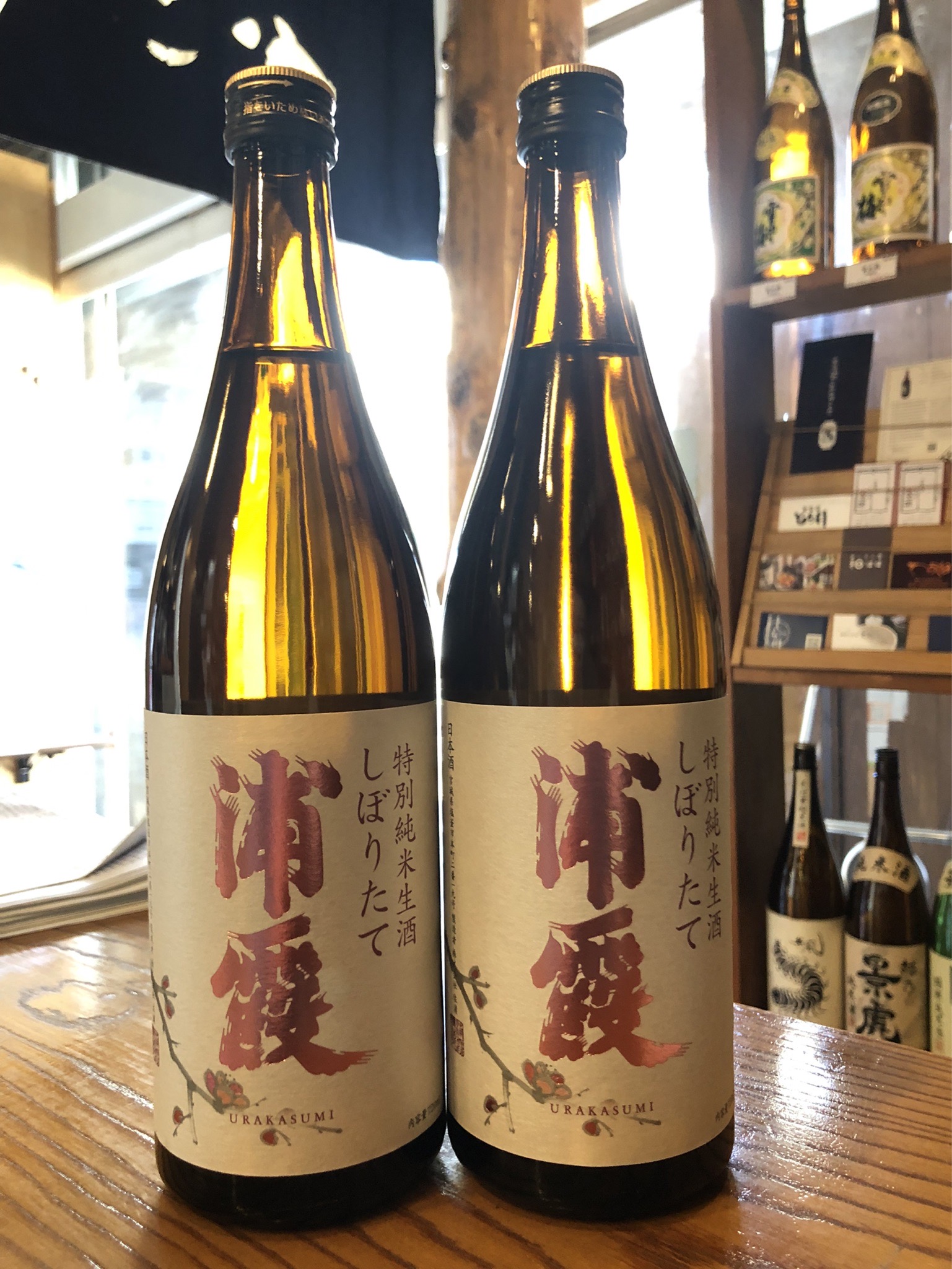 浦霞 特別純米 生酒 しぼりたて