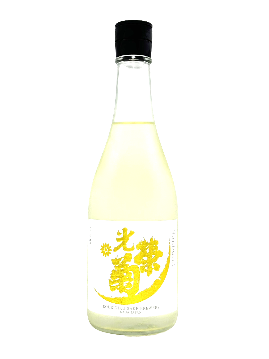 光栄菊 Sunburst サンバースト