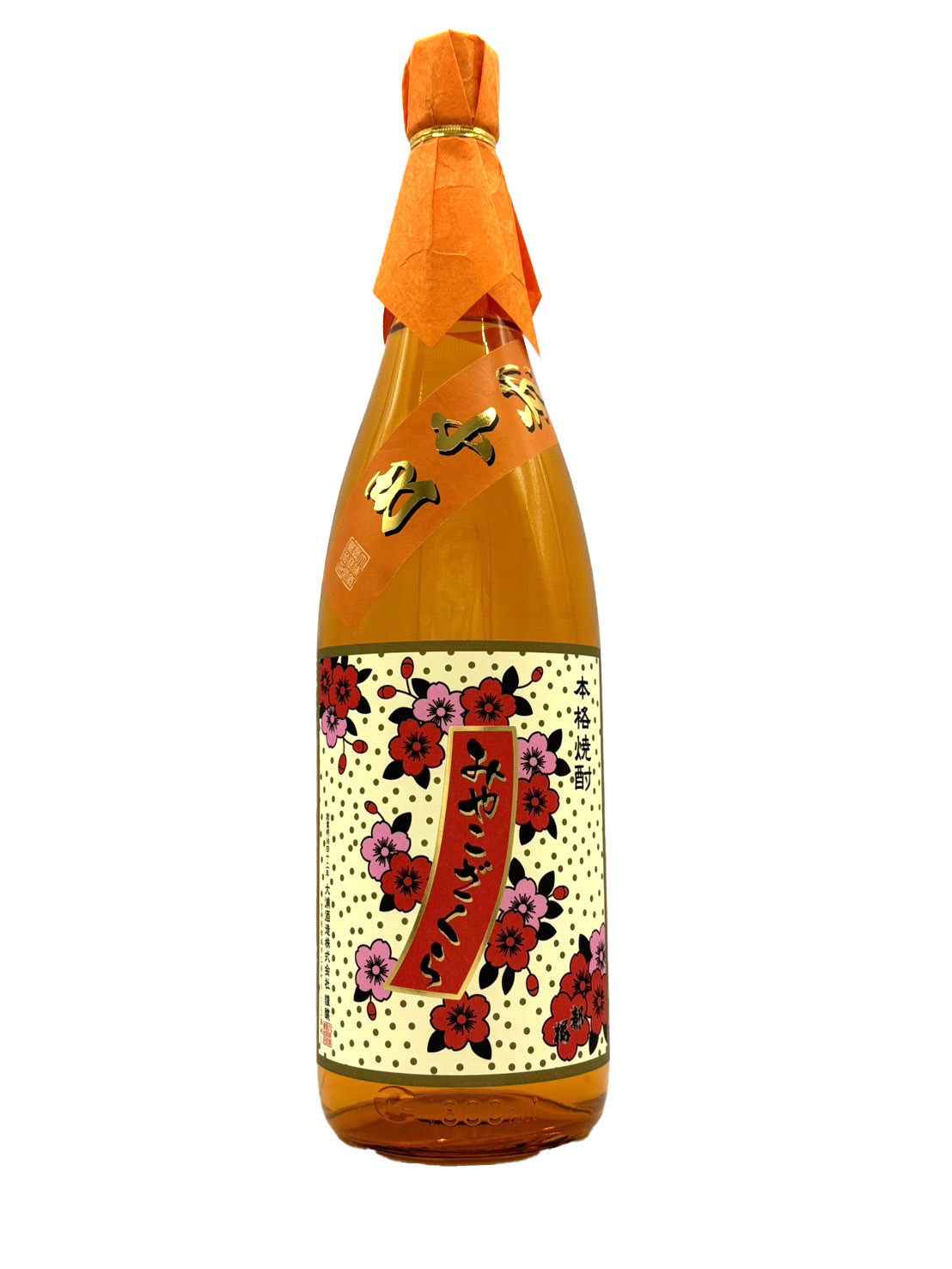 乙２５°みやこざくら限定【はまこまち】<br />