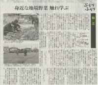 朝日新聞に掲載されました！