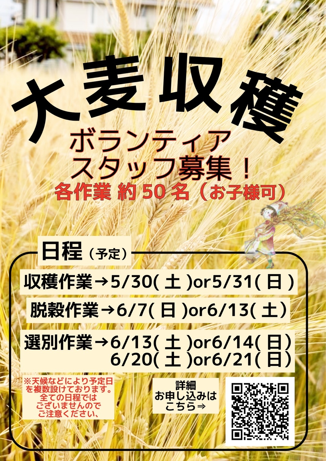 大麦収穫ボランティアスタッフ募集！