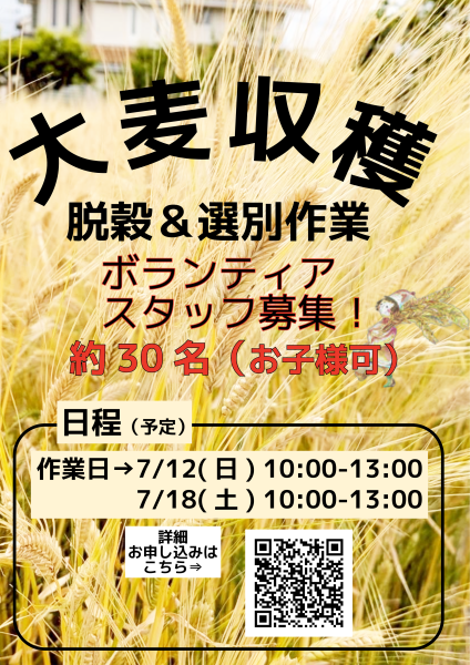 追加募集【大麦脱穀選別作業ボランティアスタッフ募集中！】
